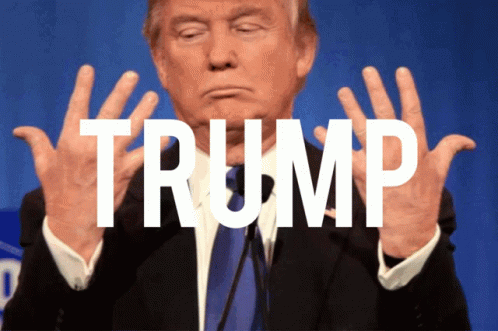 Trump Is Toast Trump GIF - Trump Is Toast Trump GIFs