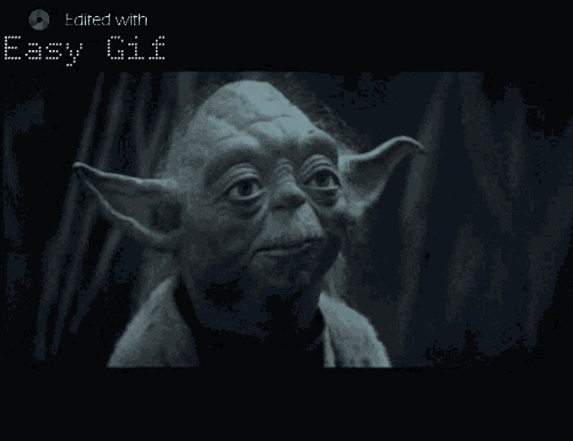 Yoda Options GIF - Yoda Options GIFs