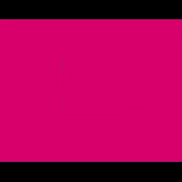 a pink background with hanya allah yang tahu presiden indonesia written on it