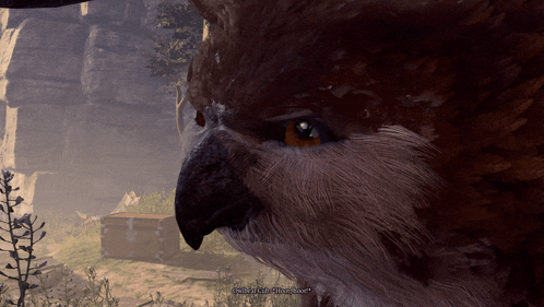 a close up of a bird 's face with the words " once upon a time " visible