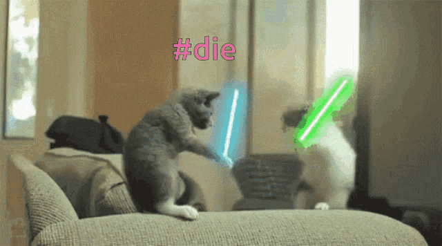 two cats are playing with lightsabers and the hashtag #die is visible