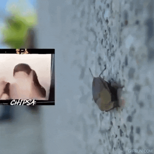 a video of a man sitting in front of a screen with the word chipsa on it
