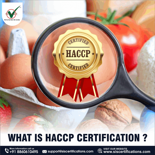 Haccp Certification GIF - Haccp Certification GIFs