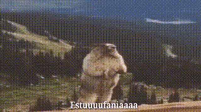 Estefania Marmot GIF - Estefania Marmot Screaming GIFs