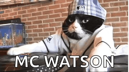 a cat wearing a baseball uniform and a hat says mc watson on the bottom