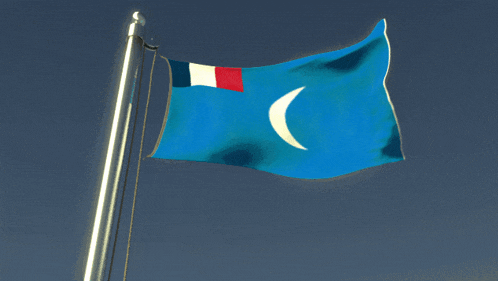 a blue flag with a white crescent moon on it is flying in the wind