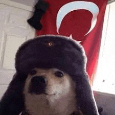 a dog wearing a russian hat is sitting in front of a flag .