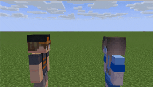 two minecraft characters are standing next to each other in a grassy field