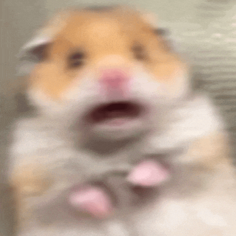 a blurry picture of a hamster with its mouth wide open