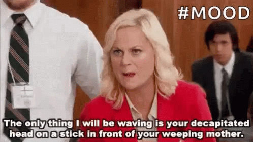Parks And Rec Mood GIF - Parks And Rec Mood Angry GIFs