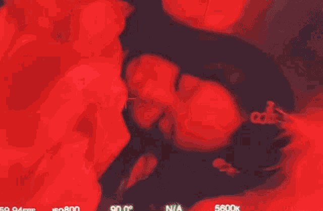 a woman is laying on a bed in a red room with a red light shining on her face .