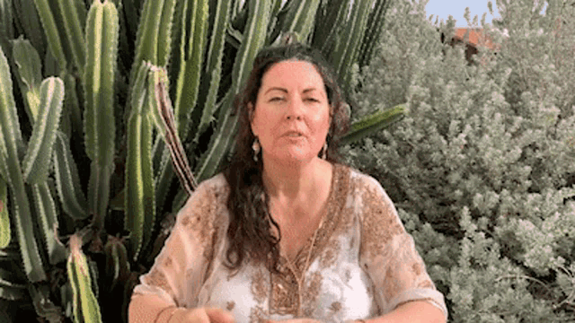 a woman is sitting in front of a cactus and talking to the camera .