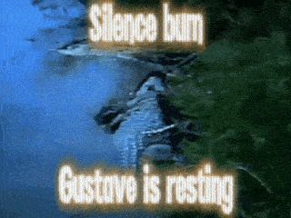 a picture of a crocodile with the words " silence burn gustave is resting "