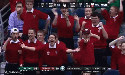 Yay GIF - Excited Wisconsin Badgers GIFs