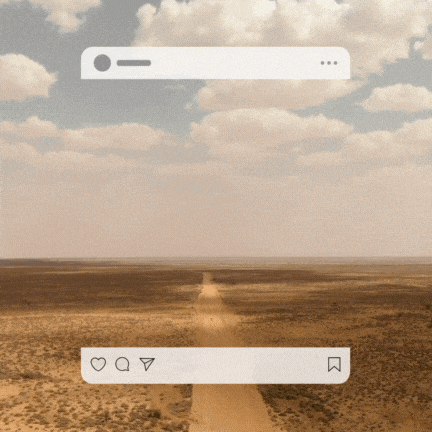 a phone screen shows a desert landscape with a search bar and a few icons