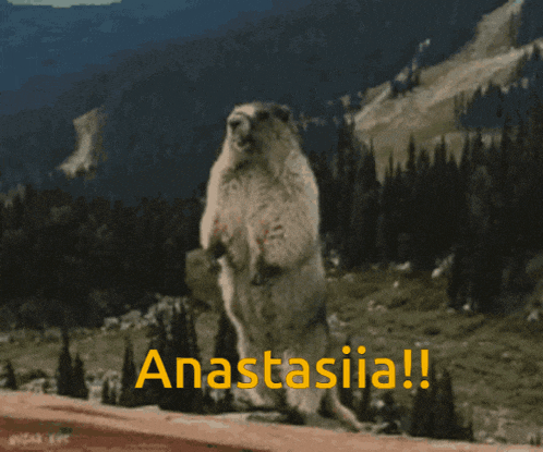 a squirrel is standing on its hind legs with the words anastasia written on the bottom