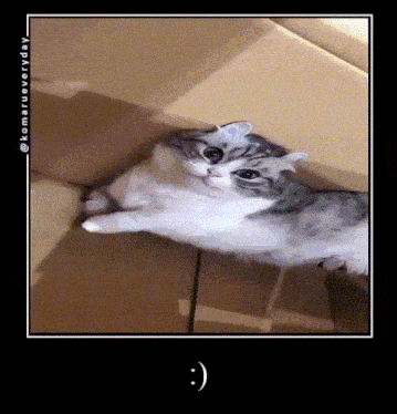 a cat is laying on its back in a cardboard box with a smiley face on its face .
