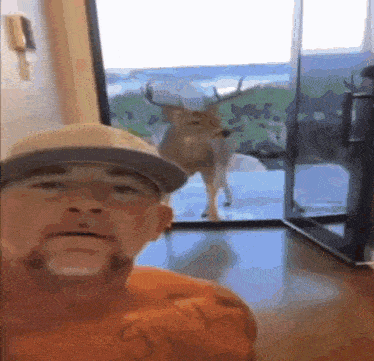 a man is standing in front of a deer in a window