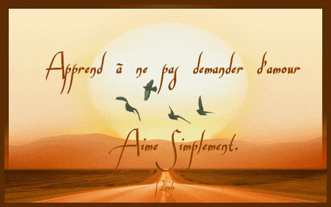 a picture of birds flying over a desert with the words apprend a ne pay demander l' amour aime simplement