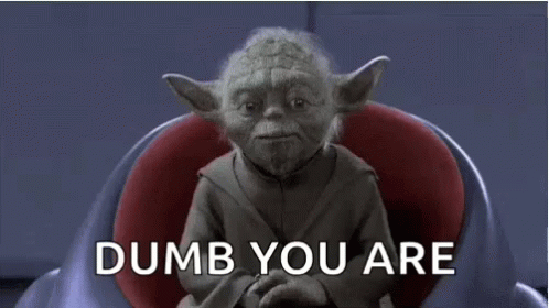 Dumb You Are Yoda GIF - Dumb You Are Yoda Star Wars GIFs