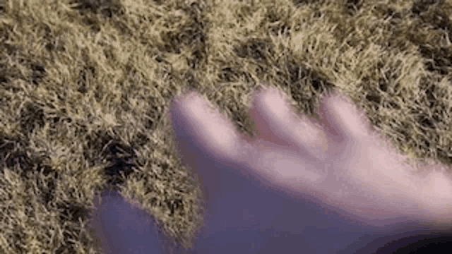 a person 's hand is reaching out to touch a pile of dry grass .