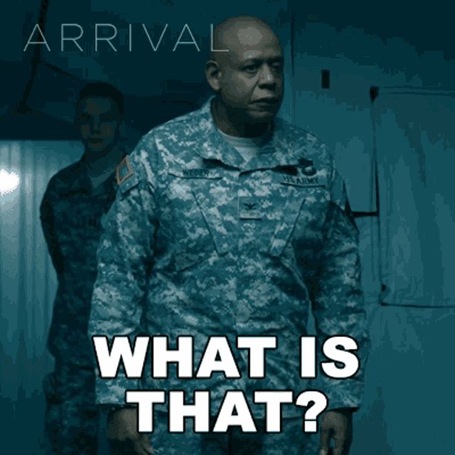 What Is That Colonel Weber GIF - What Is That Colonel Weber Arrival GIFs
