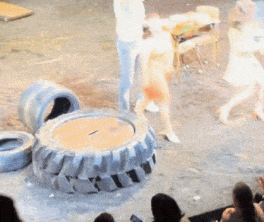 a group of people are standing around a tire on the ground