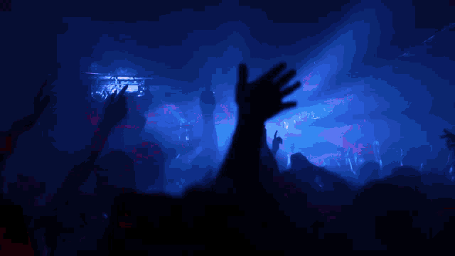 a crowd of people raising their hands in the air