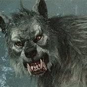 Yo Wolf GIF - Yo Wolf Hungry GIFs