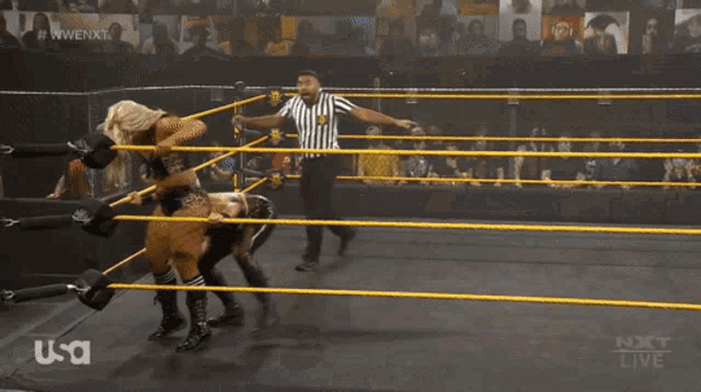 a female wrestler is being lifted in the air by another wrestler in a wrestling ring sponsored by usa