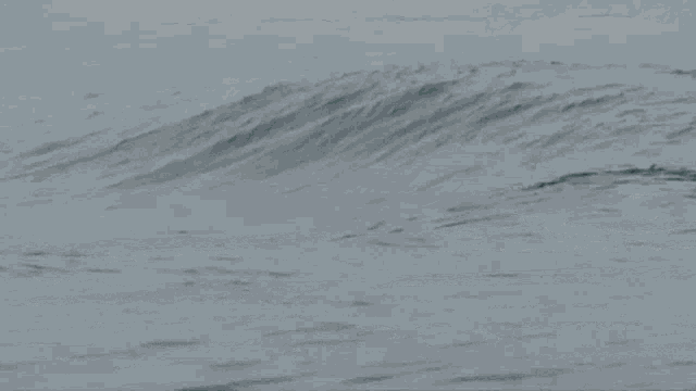 Ves Viviendo El Surf GIF - Ves Viviendo El Surf Travel GIFs