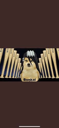 Bonkai Bankai GIF - Bonkai Bankai Bleach GIFs