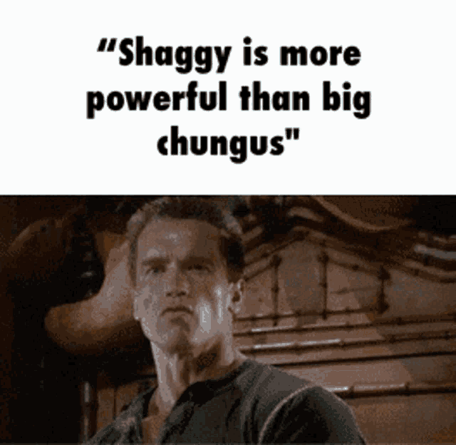 a picture of arnold schwarzenegger with the words shaggy is more powerful than big chungus above him