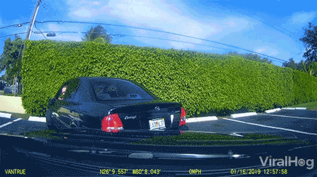 Pull Out Of Car Drag Out Of Car GIF - Pull Out Of Car Drag Out Of Car Road Rage GIFs