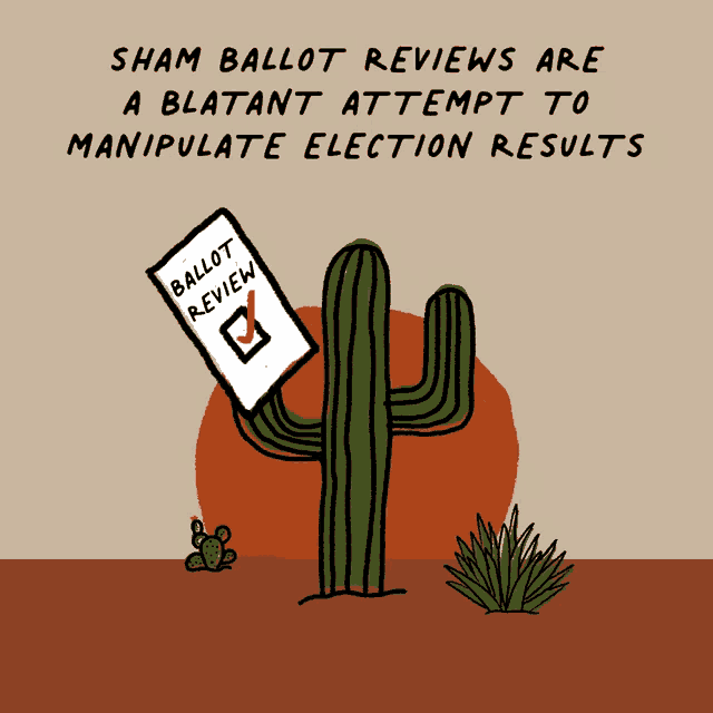 Sham Ballot Reviews Undermine Democracy Elections GIF - Sham Ballot Reviews Undermine Democracy Elections Election Night GIFs