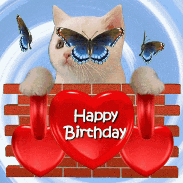 a white cat is behind a red heart that says " happy birthday "