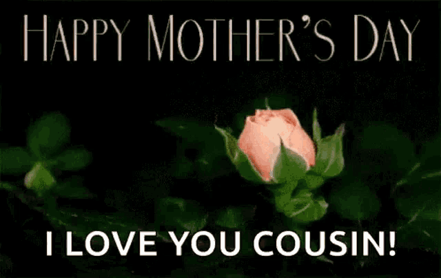 a pink rose with the words `` happy mother 's day i love you cousin '' on it .