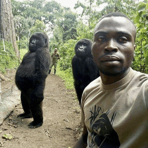a man wearing a shirt with a picture of a gorilla on it poses with two gorillas