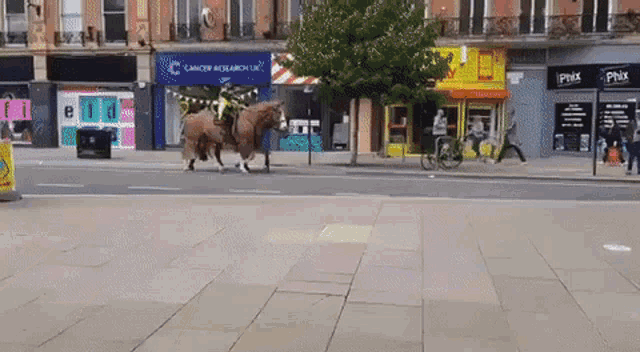 a horse is walking down a street in front of a cancer research ltd. store