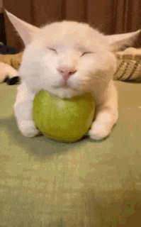 a white cat is holding a green apple in its mouth with its eyes closed