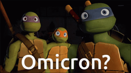 Omicron Tmnt GIF - Omicron Tmnt Teenage Mutant Ninja Turtles GIFs
