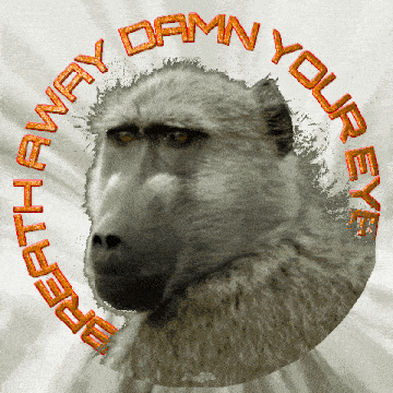 a picture of a monkey with the words " damn your eye " around it