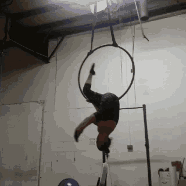 Aerial Hoop Dance GIF - Aerial Hoop Dance Hanging GIFs