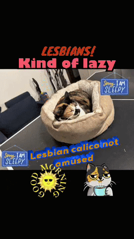 a cat is laying in a dog bed with the words " lesbians kind of lazy " above it