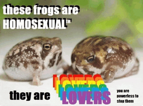 two frogs on a poster that says these frogs are homosexual tm they are lovers you are powerless to stop them