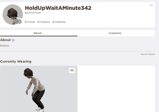 a screenshot of a person 's roblox profile