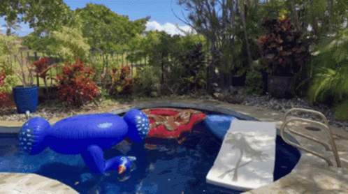 Pool Party Pool GIF - Pool Party Pool Jump GIFs