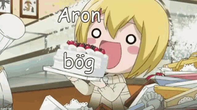 a girl is holding a cake that says aron bog on it .