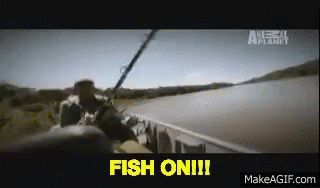 Jeremy Wade Fish On GIF - Jeremy Wade Fish On Fishing GIFs