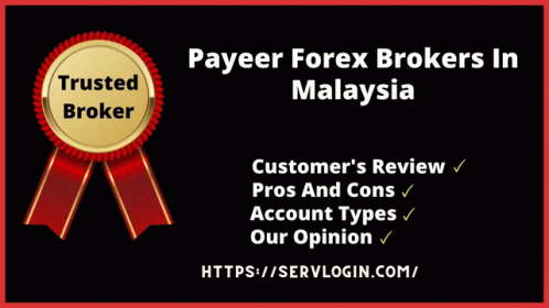Forex Brokers In Malaysia Payeer Forex Brokers In Malaysia GIF - Forex Brokers In Malaysia Payeer Forex Brokers In Malaysia Best Payeer Forex Brokers GIFs